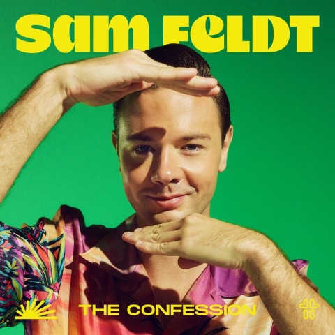 Sam Feldt – The Confession